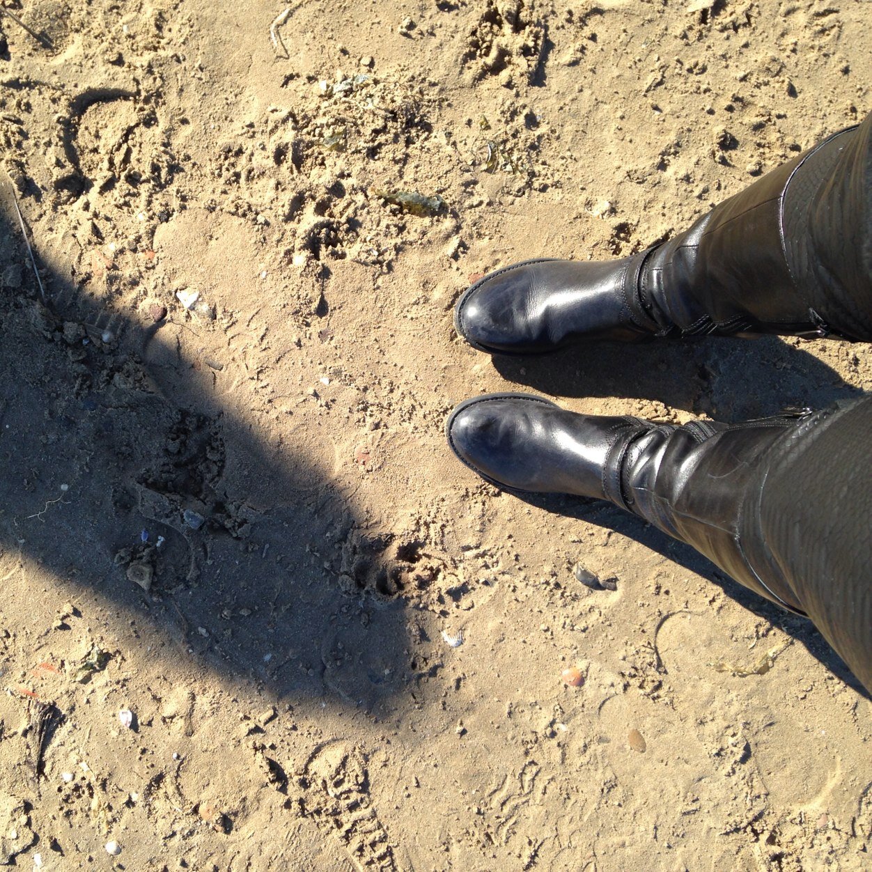 C_Arango77's profile picture. "Nadie tiene por qué leer esta mierda" (Tim Radford). Politóloga y periodista.