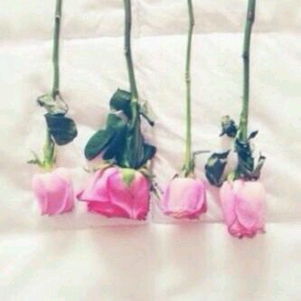 حبيبي أبي ، عشيقي أبي  قرة عيني أبي و جمال ألدُنيا  أبي ف يا رَب اسعد قلب ابي   أدمه نابضًا راضيًا عني .
