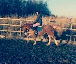 ellie_ogy1's profile picture. I'm a very bad person