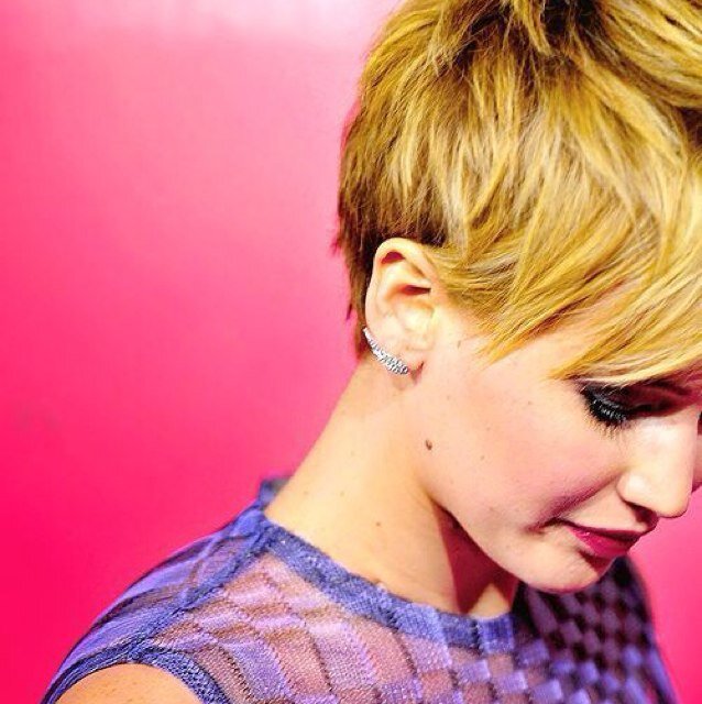 Cato__x's profile picture. Free follow from @odairible