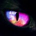 Marax Cat (@lily_xs) Twitter profile photo