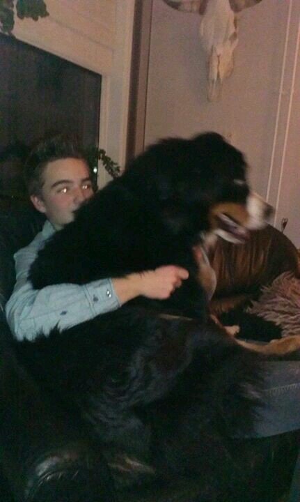 Hoi