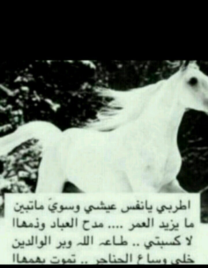 ....
‏.
 
ويبقىْ ♡ ​​​​​​​​​​​​​​​​​​​​​​​​​​​​ﺂلٱملِ ﺑ ː ﺎﻟلہ♡​  في ڳل ﺂلإحۆآل  نۆر ﯾۆﺳع ﺿﯾﻗنا دۆن ♡​ﺗﻗﺻﭔر.