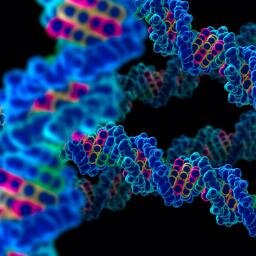 Live Google Hangout at 9 pm every Tuesday at below URL, designed to educate about science of Genomics, from the great people that work in this field