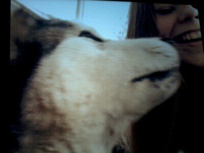 xLexxxi's profile picture. Rakker & Florus♥ • B1A ● Lunaq♥ • @ElinevandeBeek♥ @Cookeyfreakje_x♥ Mijn beste dinnetjes! ♥