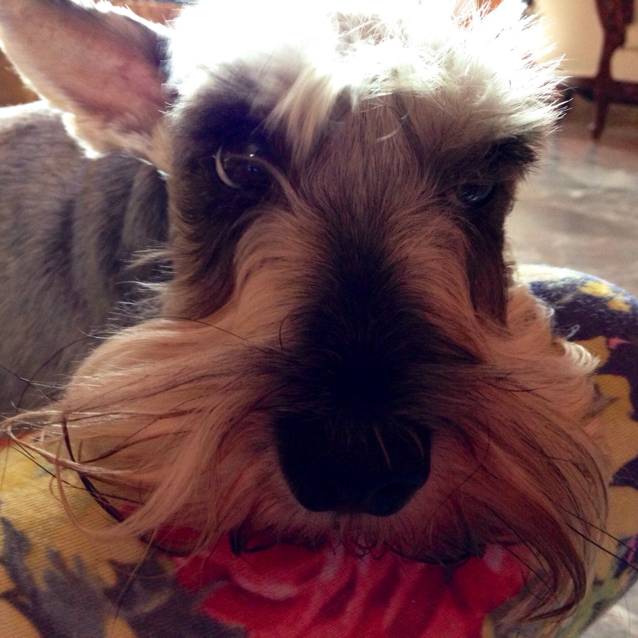 mita79's profile picture. 