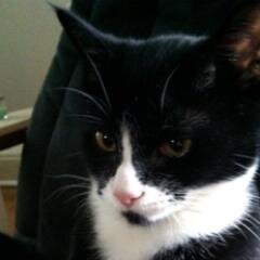 thedrugsonwar's profile picture. 