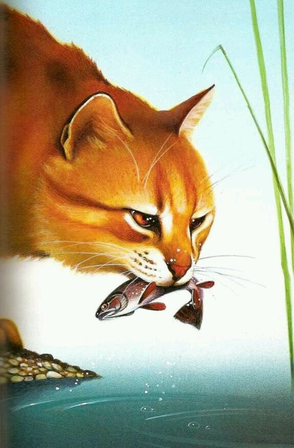 Im LeopardStar leader of RiverClan