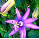 Marie Logan - @marie_eliza108 - Twitter