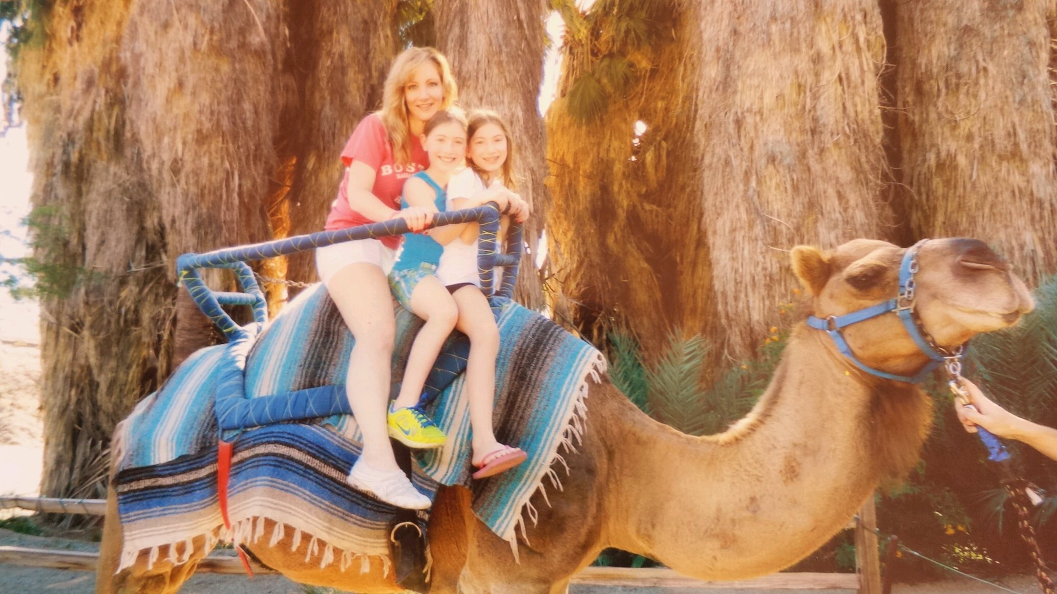 susan_atlas's profile picture. 