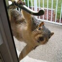 Lloyd Strong - @strongbx - Twitter