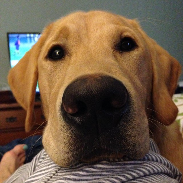 debadams17's profile picture. 