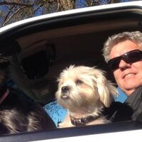 S.H. Canada will NEVER be a state of the USA ! (@jaysdad80) 's Twitter Profile