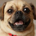 Zachary Laborde - @deadwaffle3 - Twitter