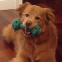 Katy McCabe - @KatyMMcCabe - Twitter