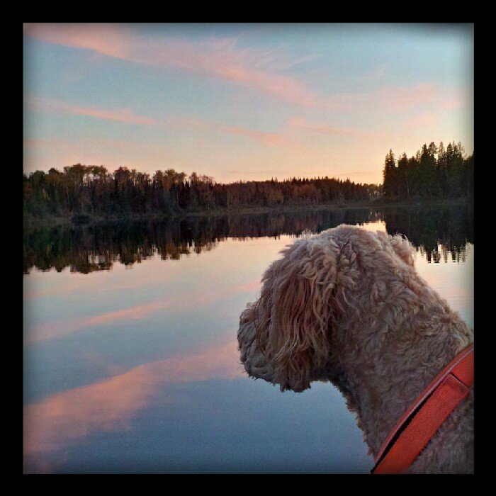 #kapuskasing