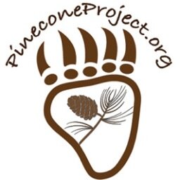 PineconeProject's profile picture. Replanting our dead pine forests one tree at a time...