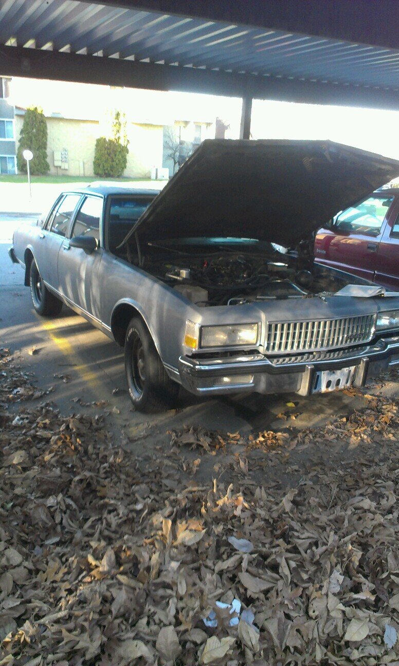 LoganSpitta's profile picture. 