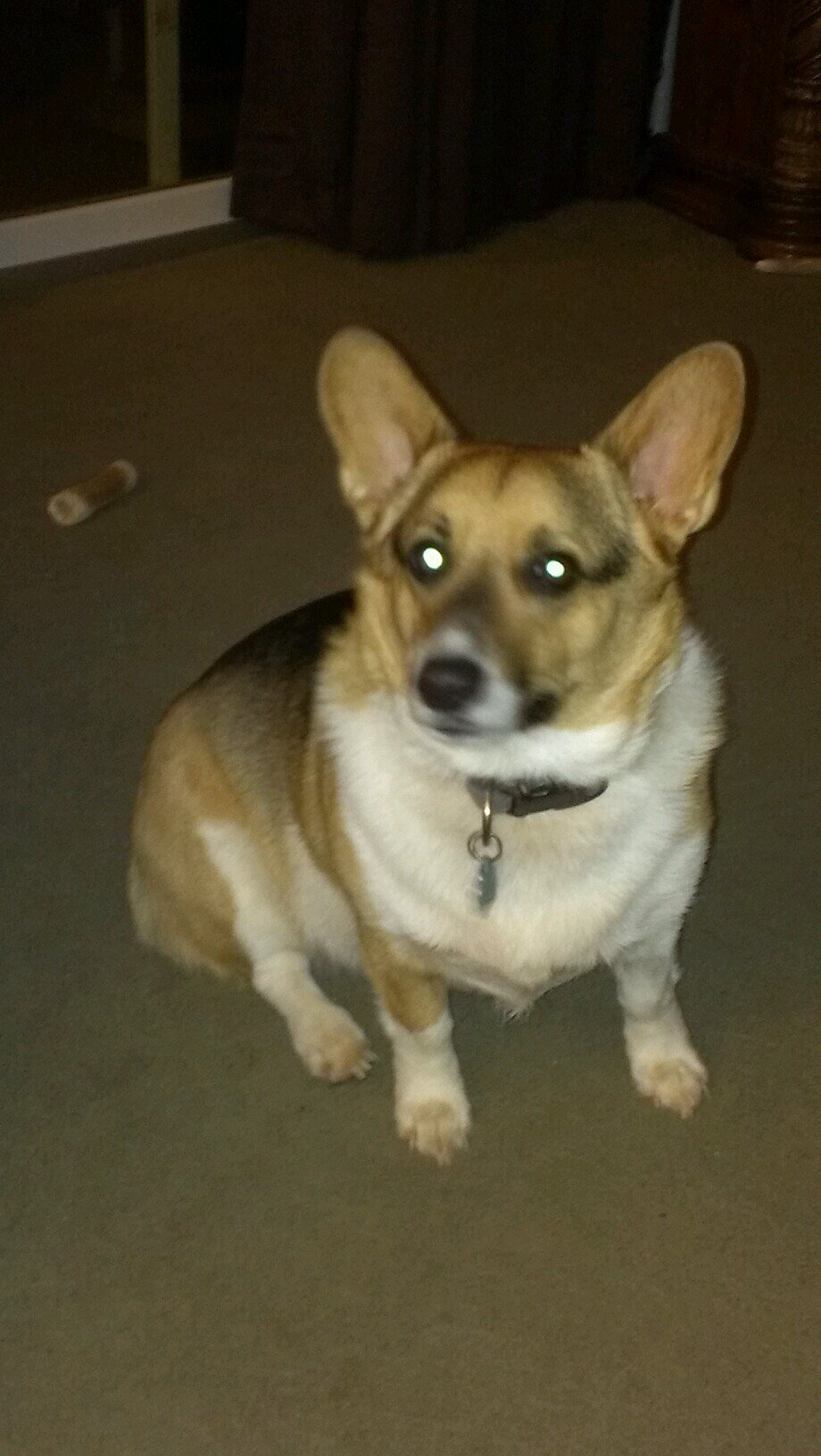 O's, Wizards, Caps, Nats & Ravens fan, Tar Heel, yogi, dad to 2 great boys, 3 great dogs. Dubshub. Son of a Marine, grandson of a Marine. Thank you Vets! ⚾💕