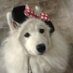 Rachelle Wright (@rachelle_reads) Twitter profile photo