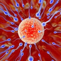 I'm 39 and trying to get pregnant! I haven't told a lot of people, so I thought I would share it with everyone! 9 failed IVF ICSI cycles, 1 failed donor egg FET