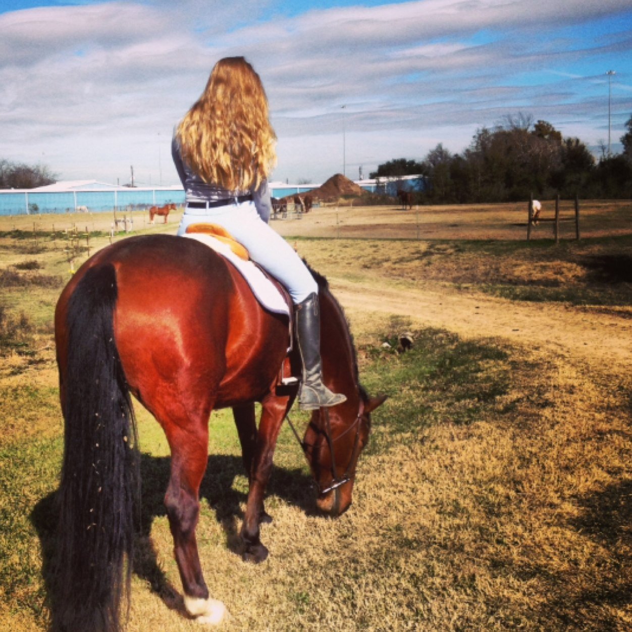 Whiskey bent and Hell bound. Texas Forever. Aggie Family.