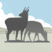Find local groups and events.  Find your herd.