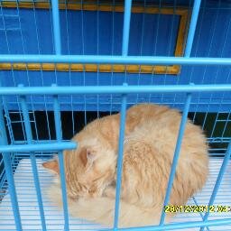 imtikhatulfitri's profile picture. jadilah diri sendiri karena diri sendirilah yang mengetahui kelemahan dan kelebihan dirinya sendiri  p(*^-^*)q