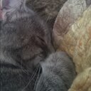 Tina-Marie Dick - @tinadick08 - Twitter