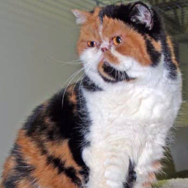 TM_Clan's profile picture. CoD Sniper - bit of an unlucky bastard. 15. Retarded in most ways possible. Hate most things - including twitter. Cunts :)