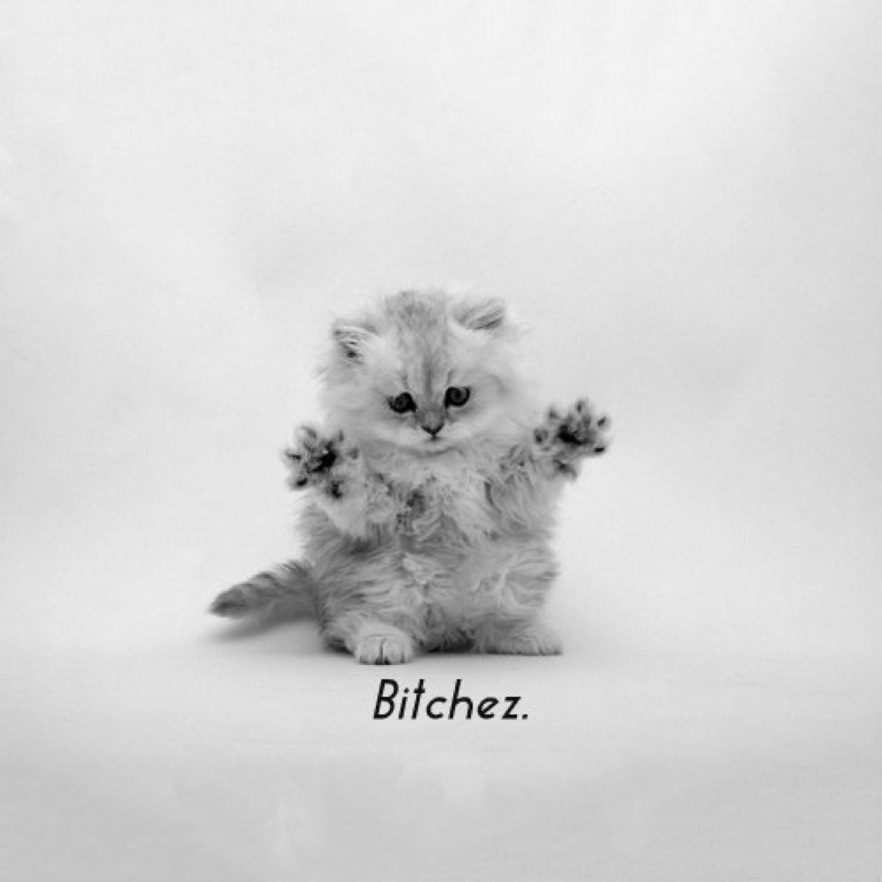 1NinjaPanda's profile picture. I put the girl in fangirling. #walkingdead, #doctorwho, #madmen, #twilight even&directioner too. Fandom-ing runs in the family& i have cool kids 2 prove it.