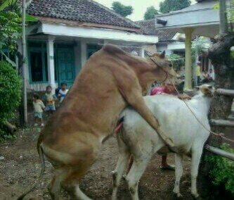 budyman14's profile picture. 