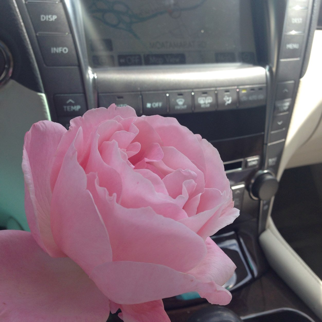 abumohammad1390's profile picture. Taif , KSA