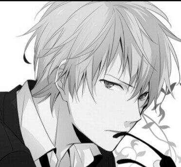 bokuwashizuo's profile picture. 