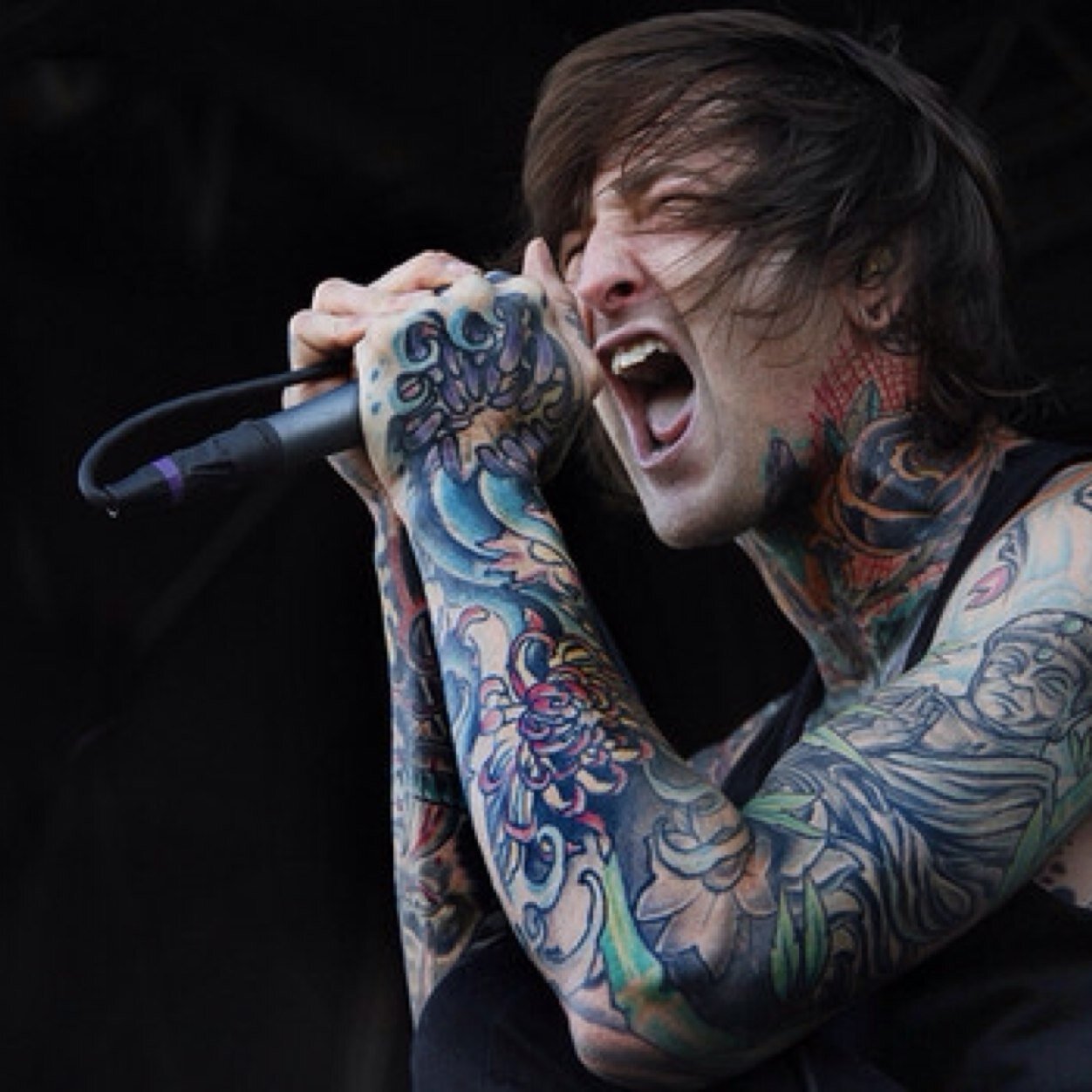 I like Asking Alexandria... And cats, definitely cats.