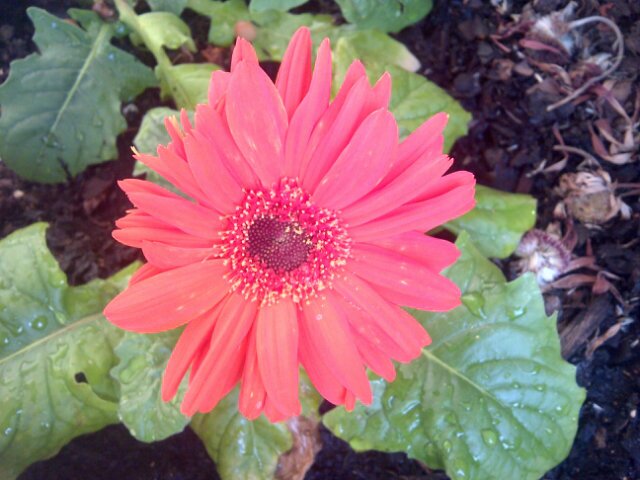 Engelette's profile picture. Life Coach. Enneagram Coach. Teacher. Speaker: the influence that music has on human beings. Career Identity Specialist. Instagram: elkeen_is_uniek