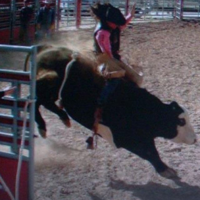 Im an adrilin junkie ive been riding bulls and broncs since i was 19. I love traveling, ranching, rodeos,training horses, hunting just about anything outdoors .