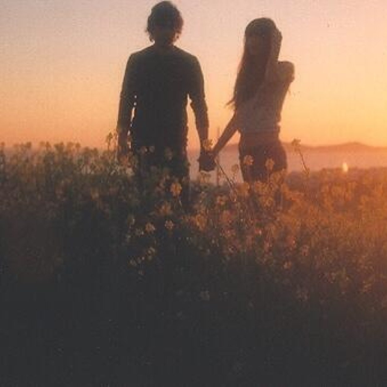 we live by the sun, and feel by the moon