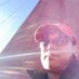 Mark Niu (@markniuwrite) Twitter profile photo