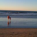 Angela Human - @angela_human - Twitter