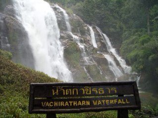 muzza2501's profile picture. Mad Rabbitoh tragic, easy goin, love to banter and appreciate a good joke