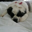 Vicky Kincaid - @KincaidVicky - Twitter