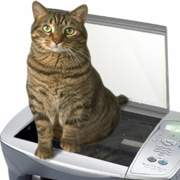 TehCleave's profile picture. hi I am aCoD TRICKSHOTER hit bills also feed edit and warbeasts/try hard.