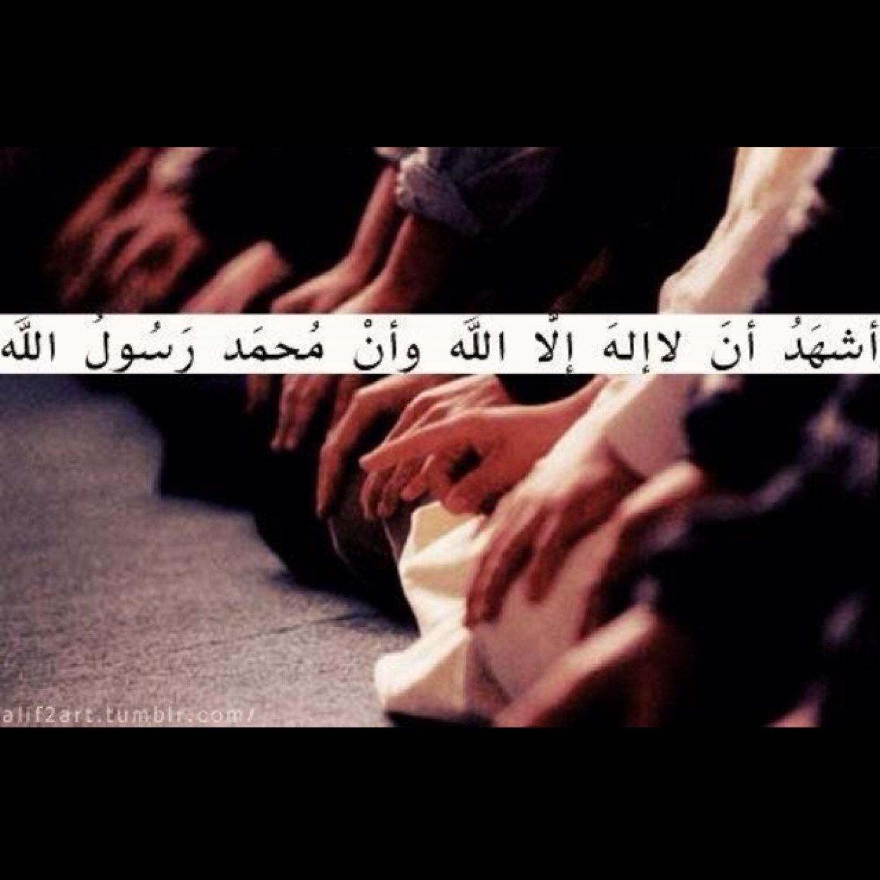 مُترفہ ، لا مُباليہّ ، إحدىَ كذِباتُهم مّغرورهْ ! أسكنُ فيَ أجفانِ ابي ،عجآزهہ ، اتفنن بالاستغباء احيانا لاريح مزاجيتي ، أكتفَي بِ اللهّ عَن العالمِين