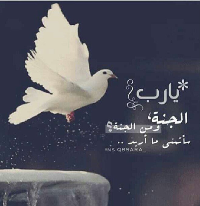 ‏((‏‏‏‏انا في نظر الكون لا شيء وفي نظر  نفسي كل شيء))
