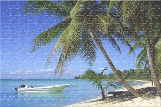 3s3osyToota's profile picture. 