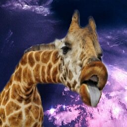 Giraffez r rad