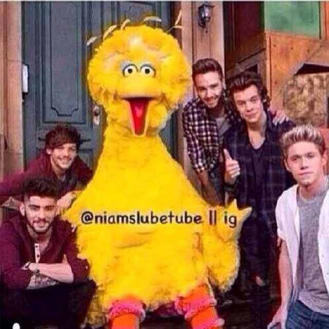 Directioner!!!! Follow me on other social media Instagram/Movella: Loving5_Idiots Facebook: Loving Idiots
Youtubers 
Pretty little liars 
Australia