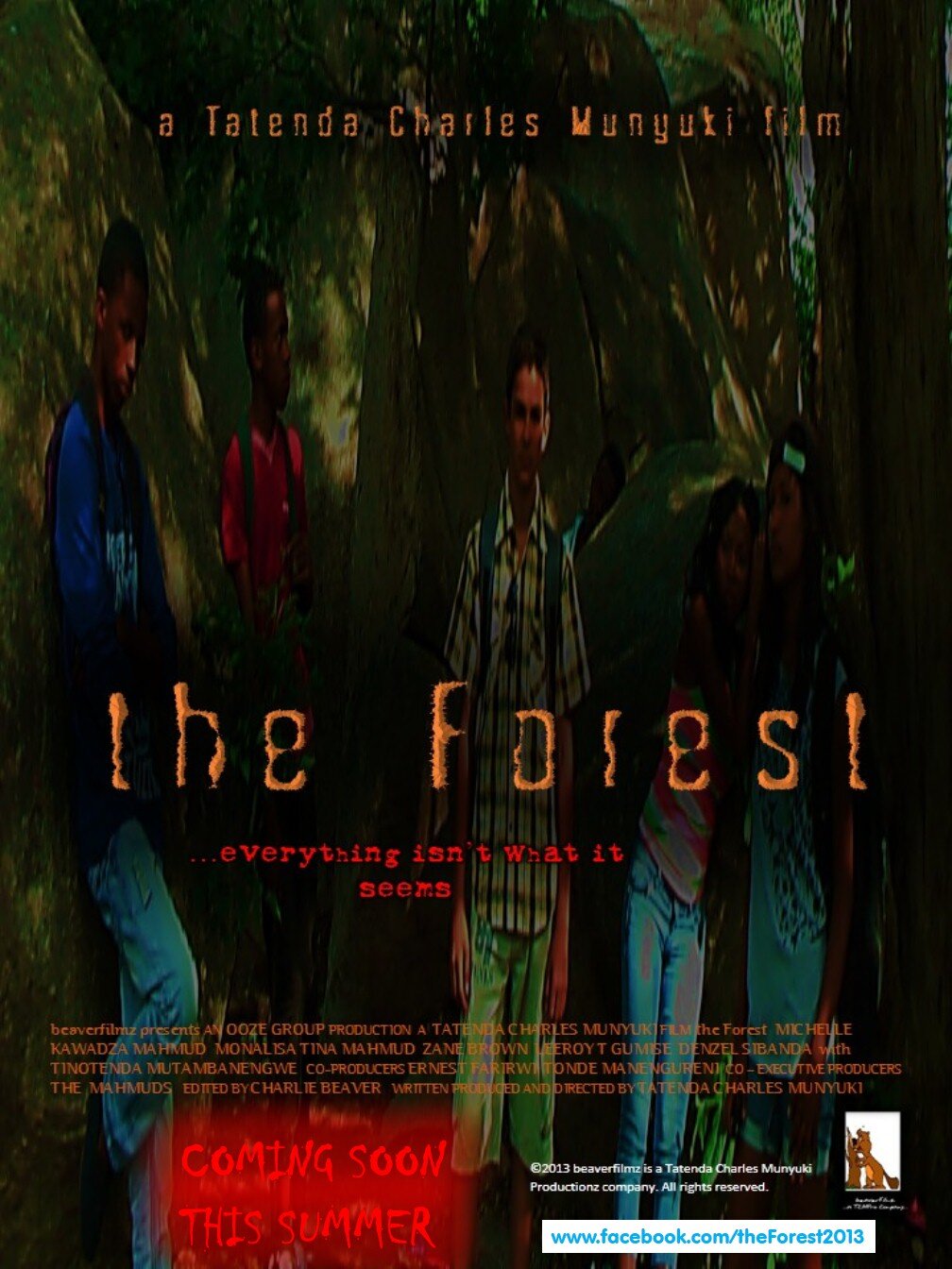 A movie about youths that venture into a forest to find their friend only to meet creepy and horrific anomalies...