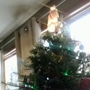 sarah maxfield - @smaxfield14 - Twitter